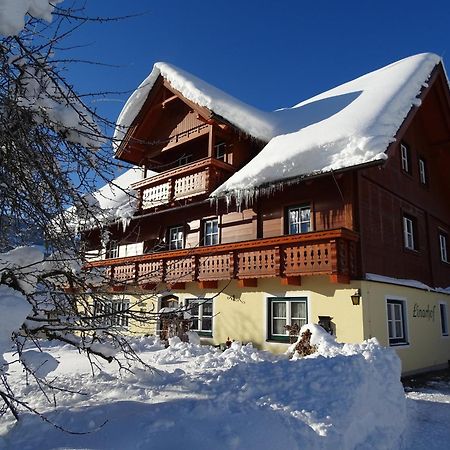 Linarhof Apartment Urlaub Am Bio Bauernhof Haus im Ennstal Zewnętrze zdjęcie