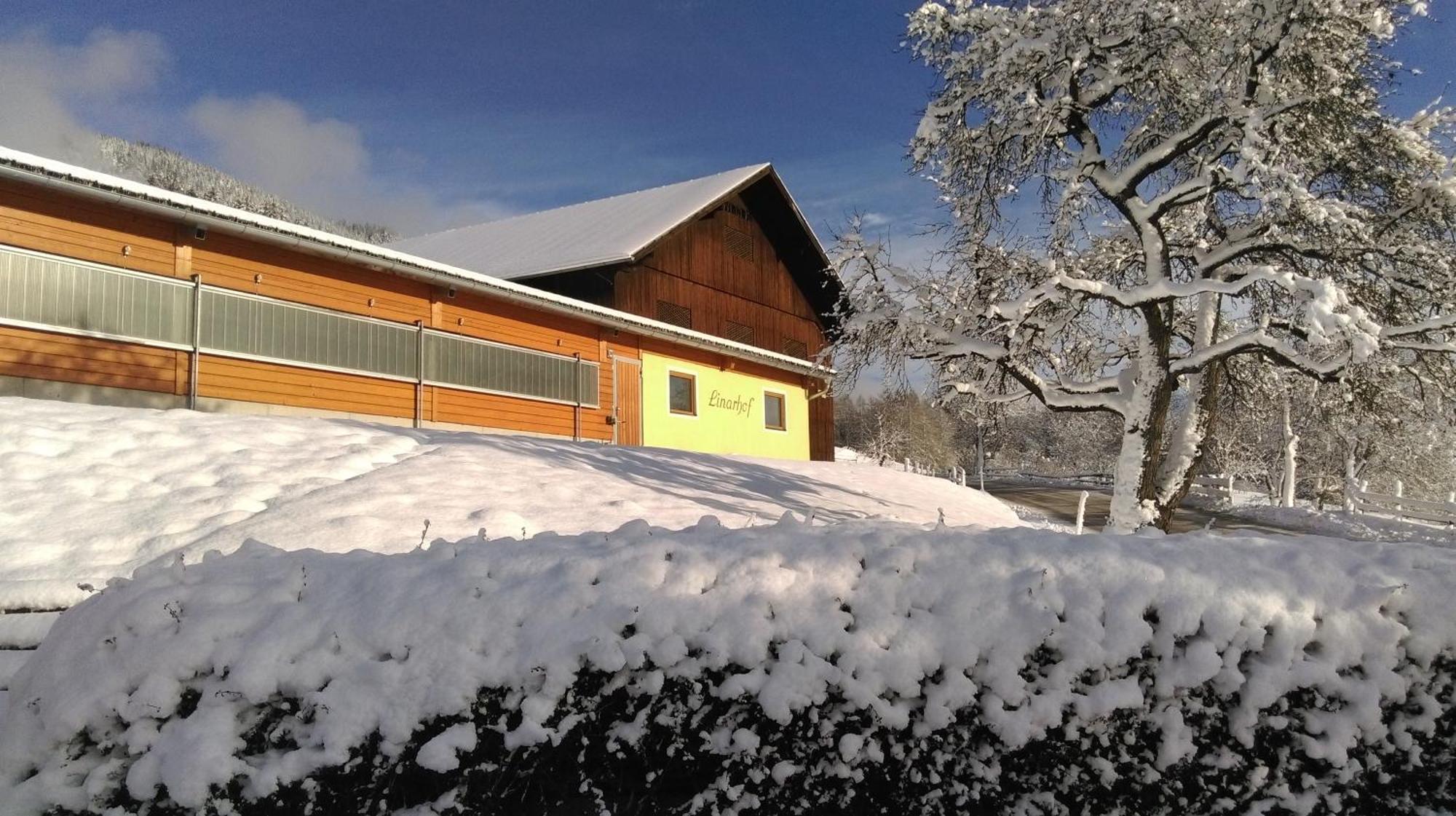 Linarhof Apartment Urlaub Am Bio Bauernhof Haus im Ennstal Zewnętrze zdjęcie
