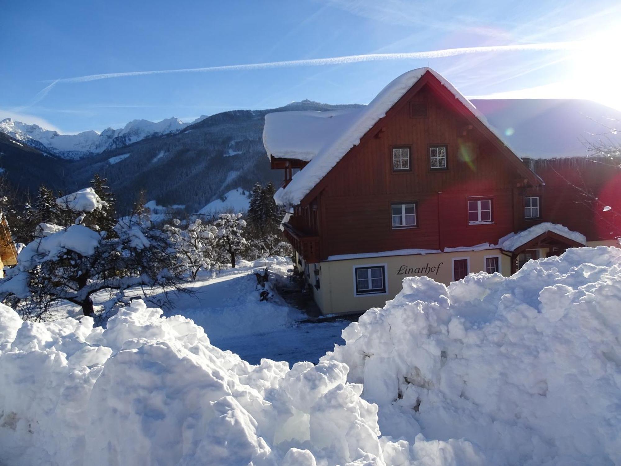 Linarhof Apartment Urlaub Am Bio Bauernhof Haus im Ennstal Zewnętrze zdjęcie