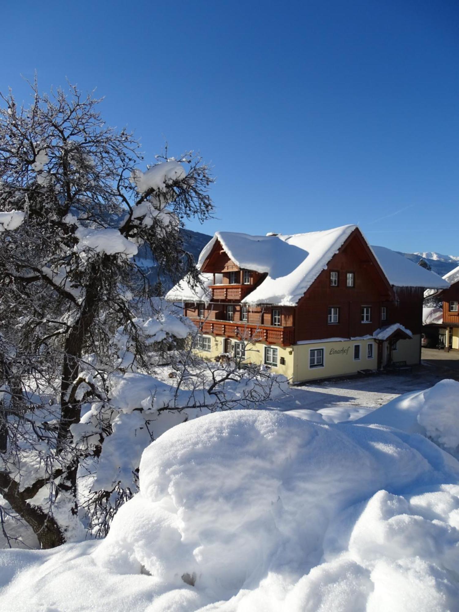 Linarhof Apartment Urlaub Am Bio Bauernhof Haus im Ennstal Zewnętrze zdjęcie