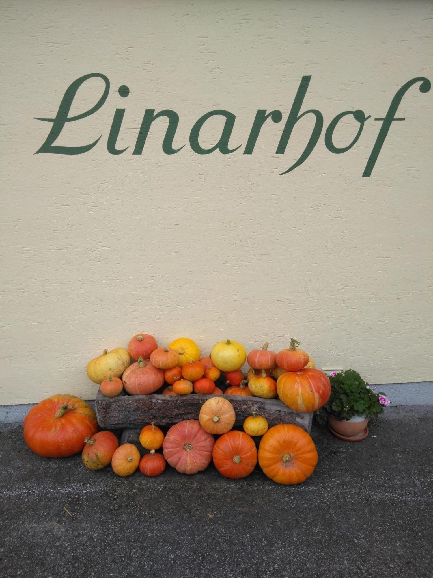 Linarhof Apartment Urlaub Am Bio Bauernhof Haus im Ennstal Zewnętrze zdjęcie